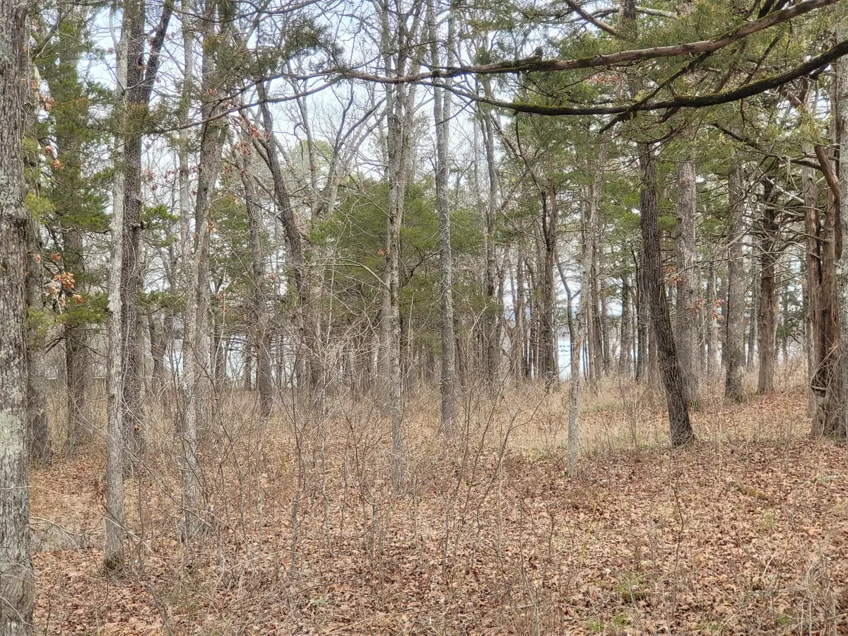 Lot 33 Eagles Point Lane, Shell Knob, MO 65747 - Image #1