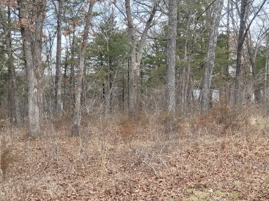Lot 33 Eagles Point Lane, Shell Knob, MO 65747 - Image #2