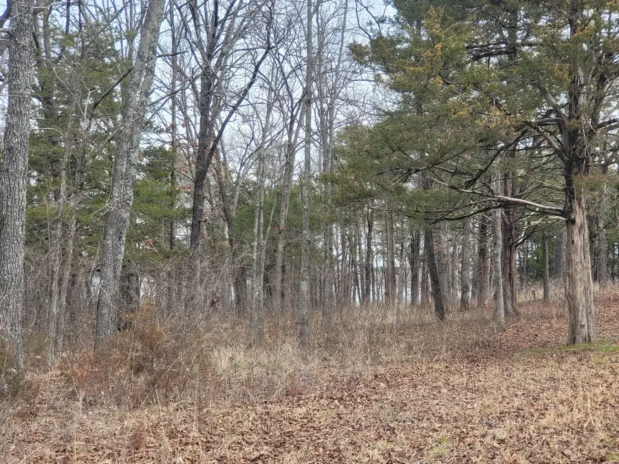 Lot 33 Eagles Point Lane, Shell Knob, MO 65747 - Image #3