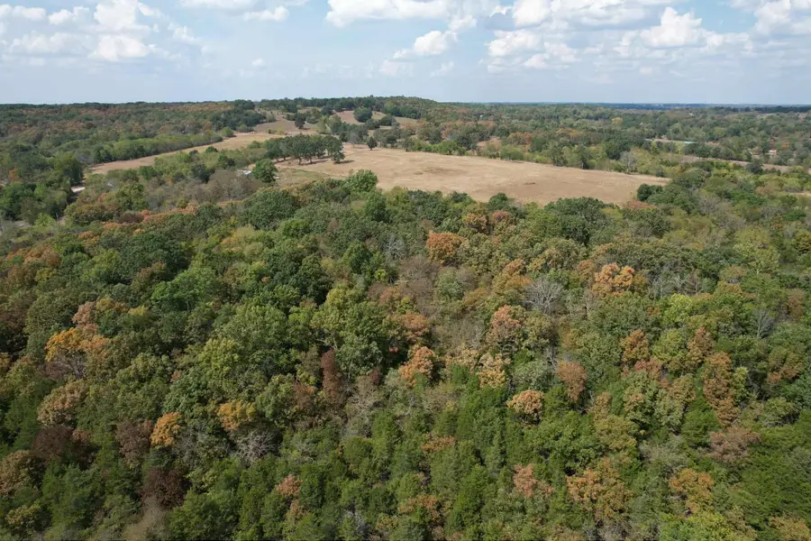 11550 N Farm Road 101, Willard, MO 65781 - Image #3