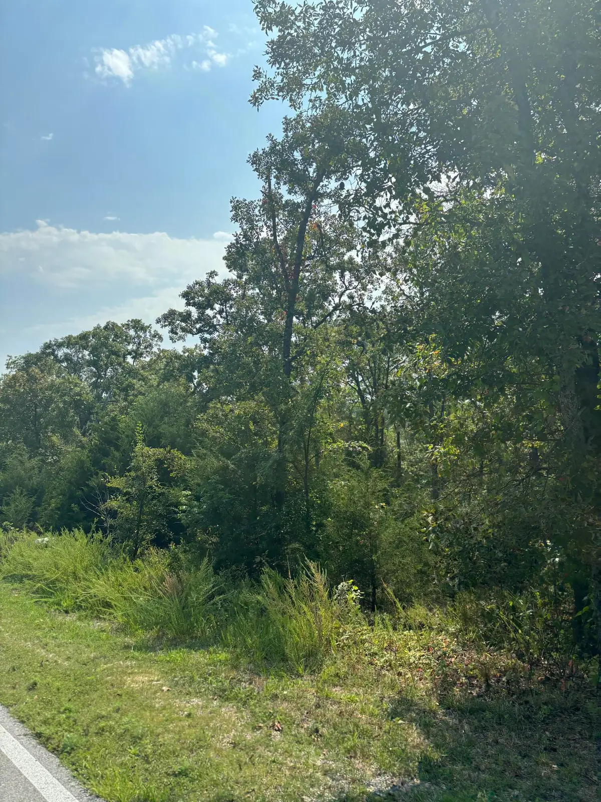 Lot #3 Fox Hollow Road, Branson West, MO 65737 - Image #1