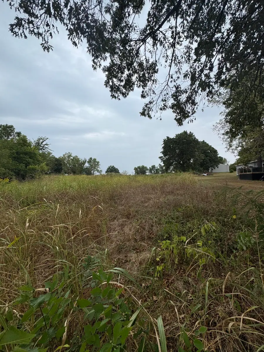 405 E Oak Street, Everton, MO 65646 - Image #3