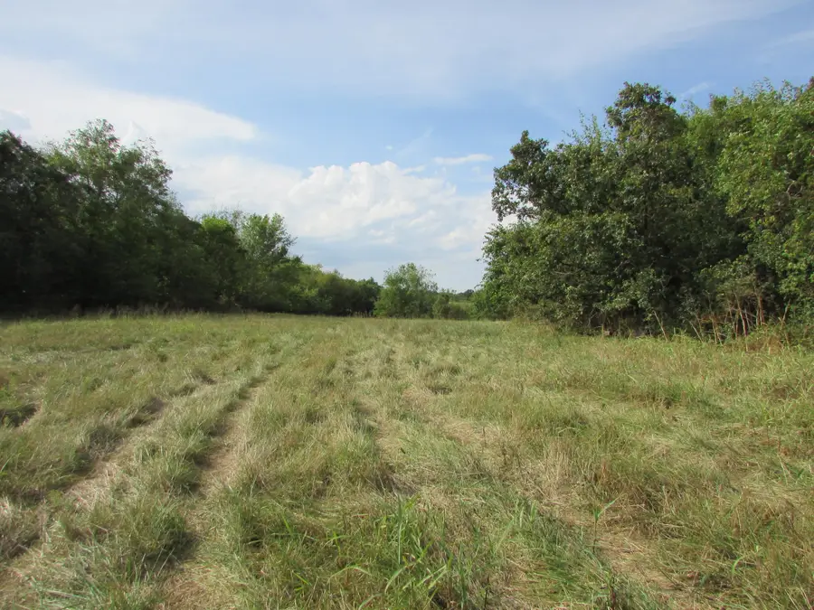 Tr 1 N Metzletein Road, Billings, MO 65610 - Image #2