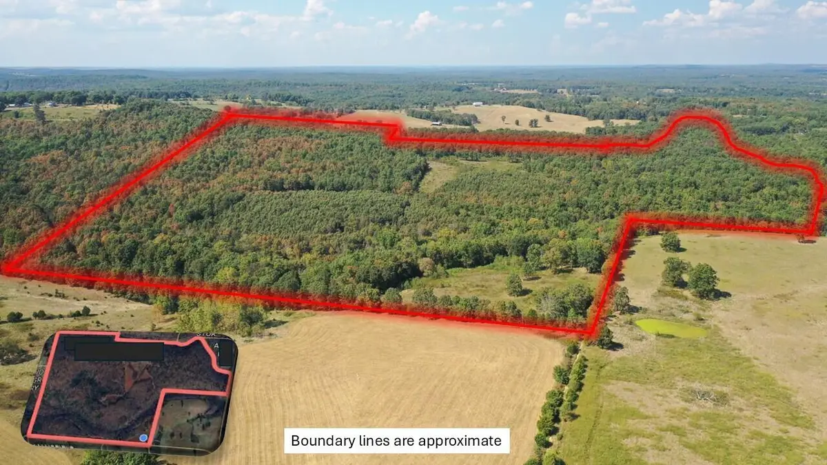 000 County Road 330, Gainesville, MO 65655 - Image #1