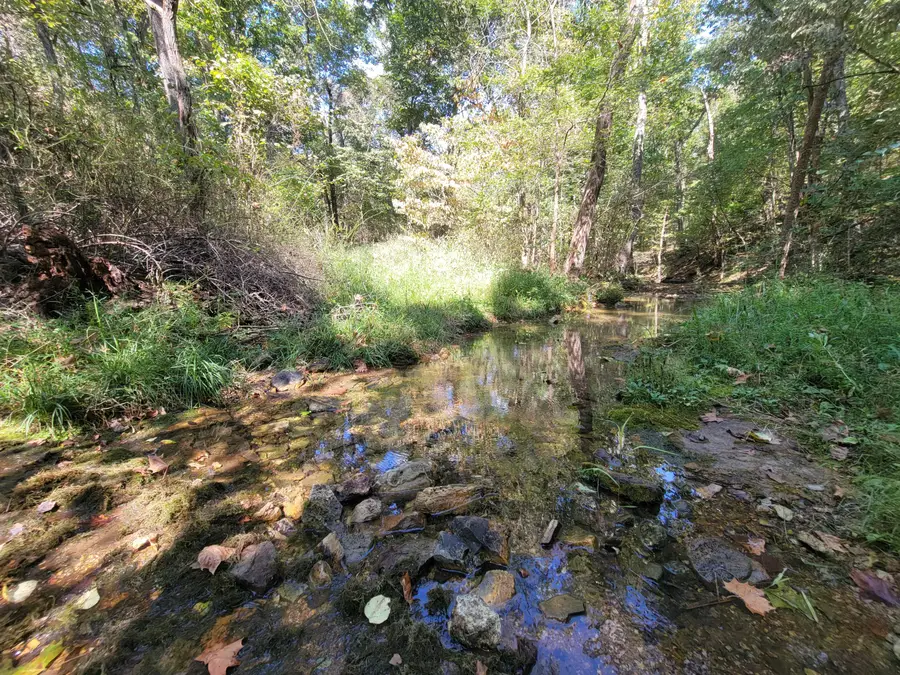 000 County Road 330, Gainesville, MO 65655 - Image #2