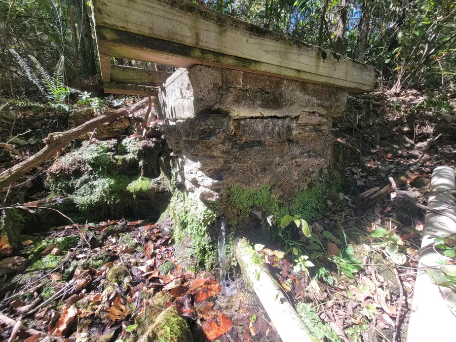 000 County Road 330, Gainesville, MO 65655 - Image #3