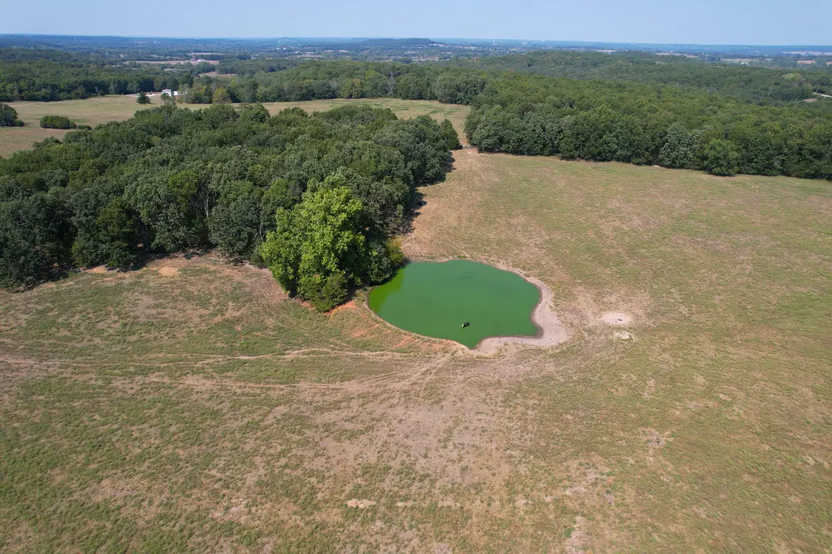 000 N Farm Road 215 #Parcel 2, Strafford, MO 65757 - #1