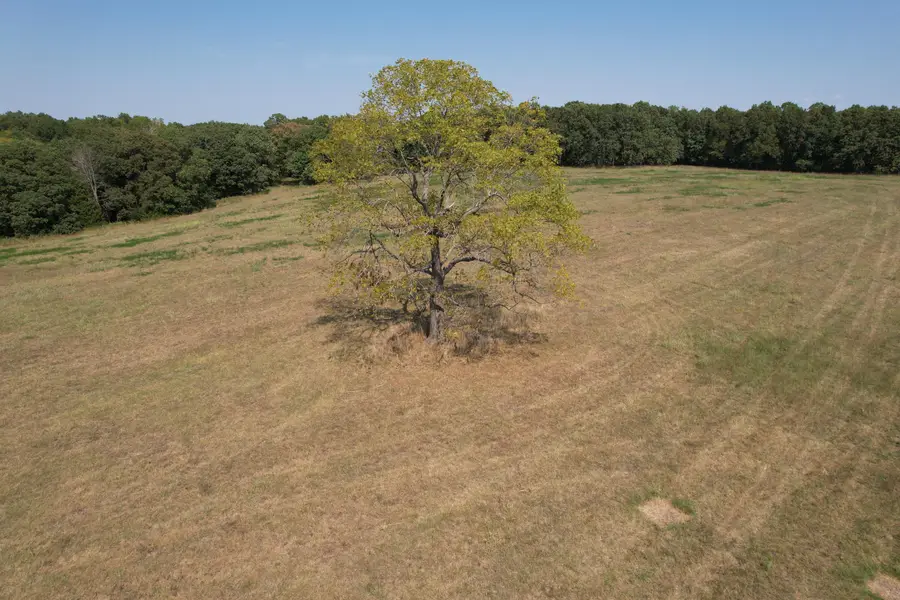 000 N Farm Road 215 #Parcel 1, Strafford, MO 65757 - #2