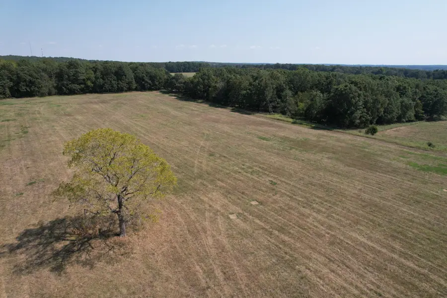 000 N Farm Road 215 #Parcel 1, Strafford, MO 65757 - #3