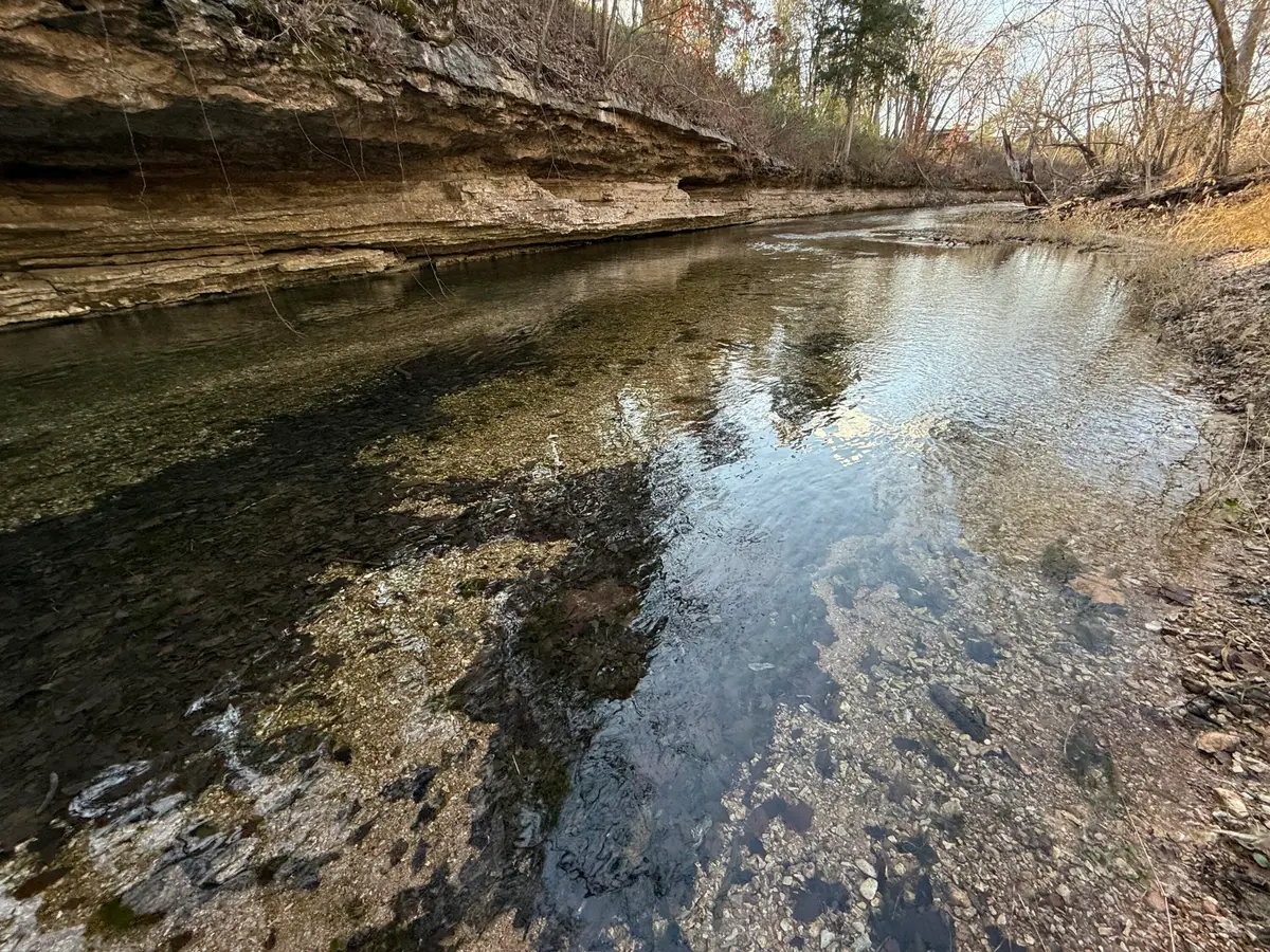 000 Mikes Creek Rd West 15.7 Acres, Powell, MO 65730 - Image #1