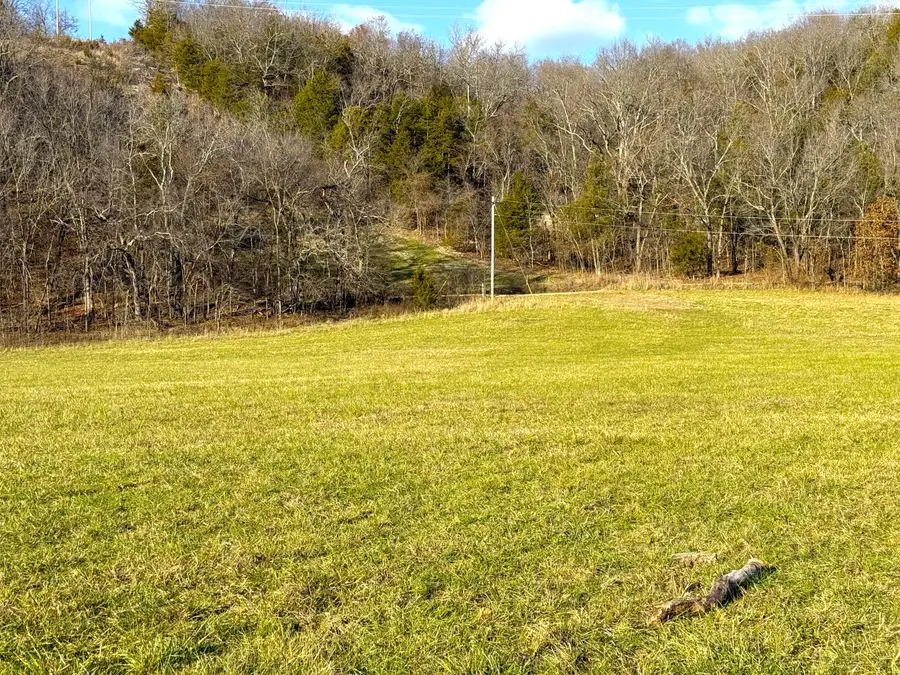 000 Mikes Creek Rd East 15.7 Acres, Powell, MO 65730 - #3