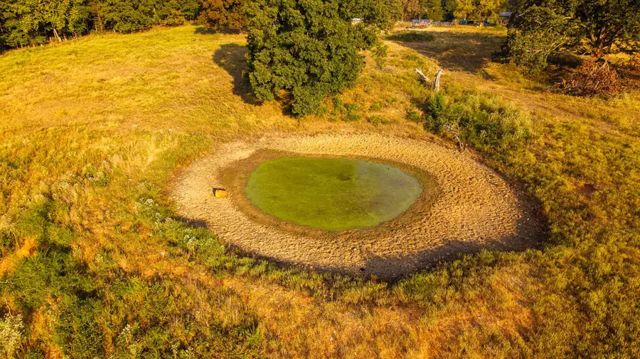 Tbd Bamber Street, Mammoth Spring, AR 72554 - Image #3