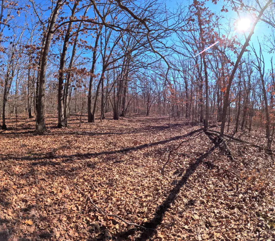 Tbd 1 Glory Lane, Lebanon, MO 65536 - Image #3