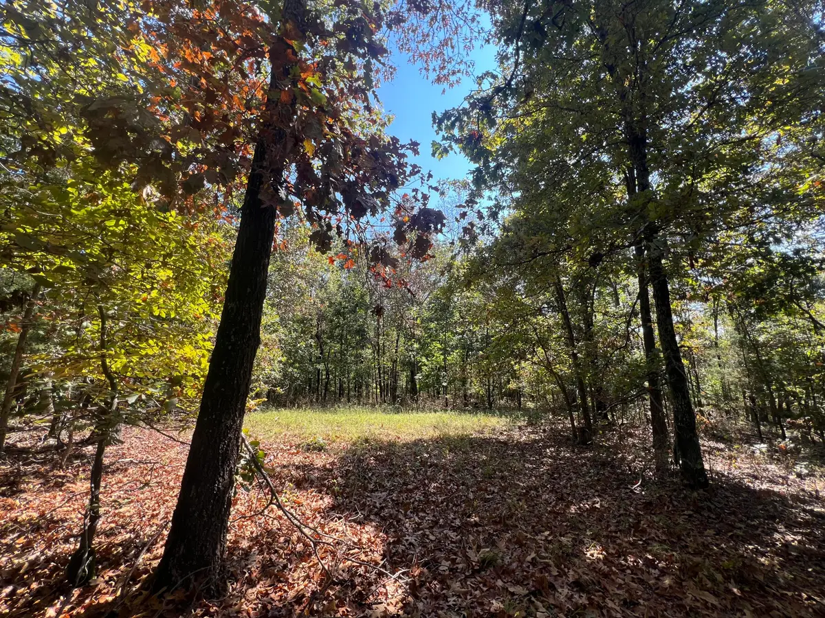 000 County Road 9230, West Plains, MO 65775 - Image #1