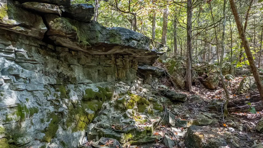 Tbd Cougar Drive, Mountain Home, AR 72653 - Image #3