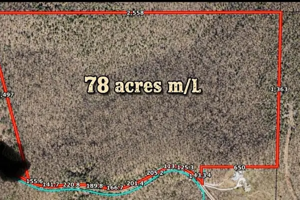 000 Pine Top Road, Hollister, MO 65672