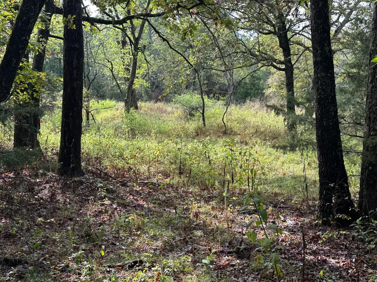 000 Carter 146, Fremont, MO 63941 - Image #1