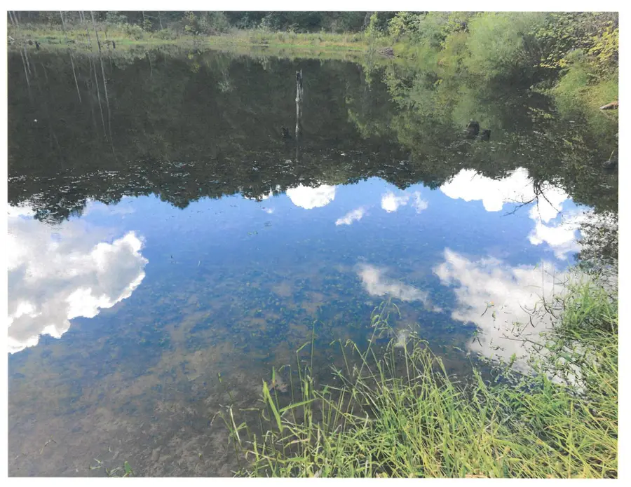 000 Memphis Drive, Lebanon, MO 65536 - Image #2