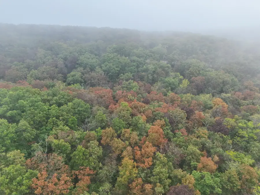 000 County Road 363, Urbana, MO 65767 - Image #2