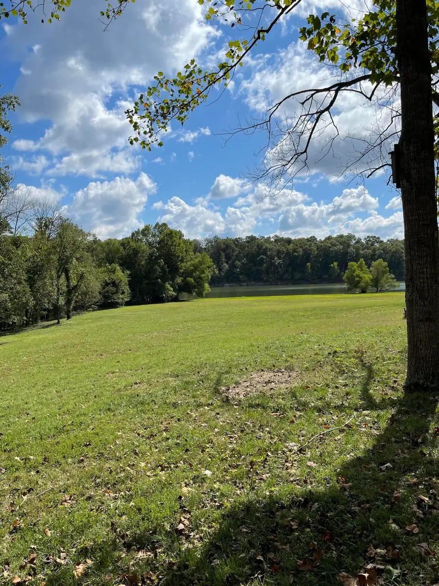 441 Cane Cove Road, Cape Fair, MO 65624 - Image #3