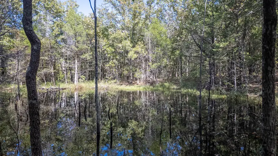 300 Starfall Drive, Cedarcreek, MO 65627 - Image #3