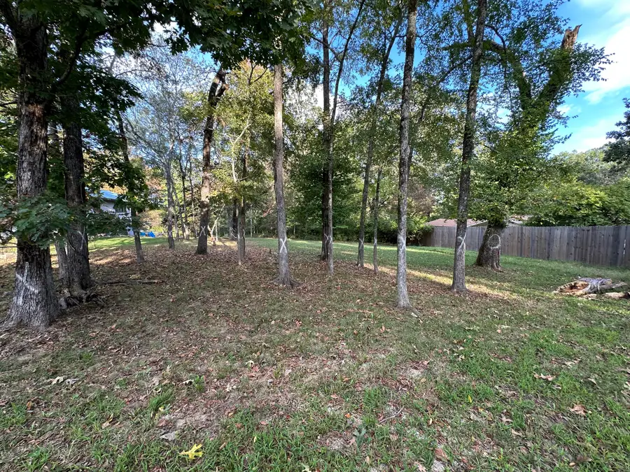 311 S Hickory Street, Forsyth, MO 65653 - Image #2