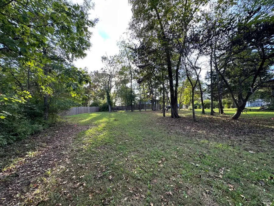 311 S Hickory Street, Forsyth, MO 65653 - Image #3