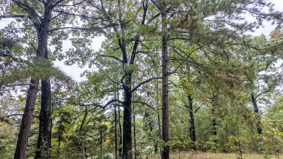 000 Highway 106, Eminence, MO 65466 - Image #3