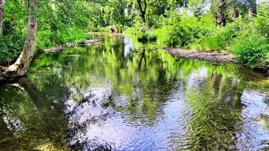 Tbd Farm Road 1040, Exeter, MO 65647 - Image #2