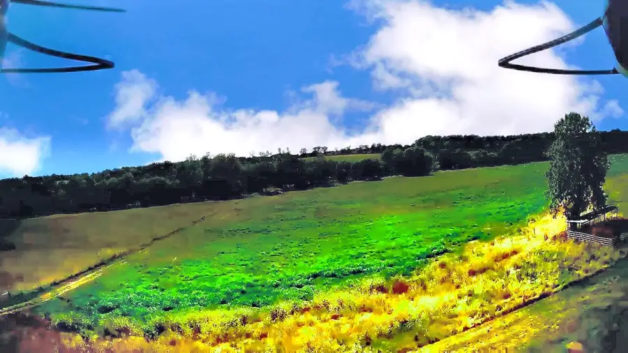 Tbd Farm Road 1040, Exeter, MO 65647 - Image #3