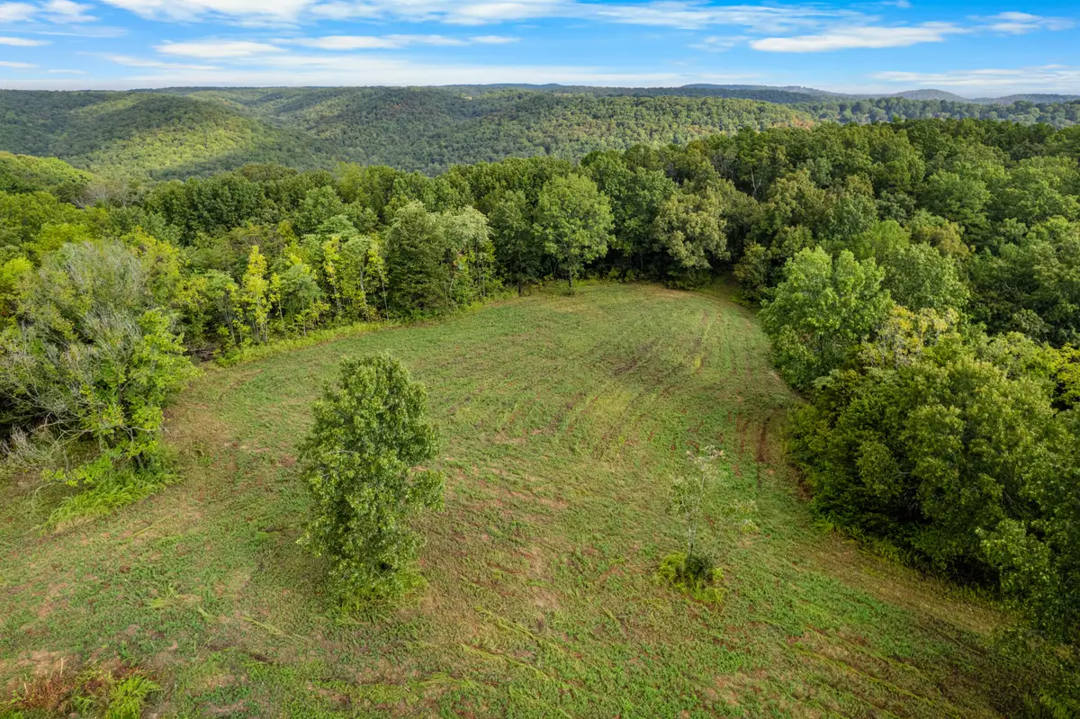 000 Pine Top Road, Hollister, MO 65672 - Image #1