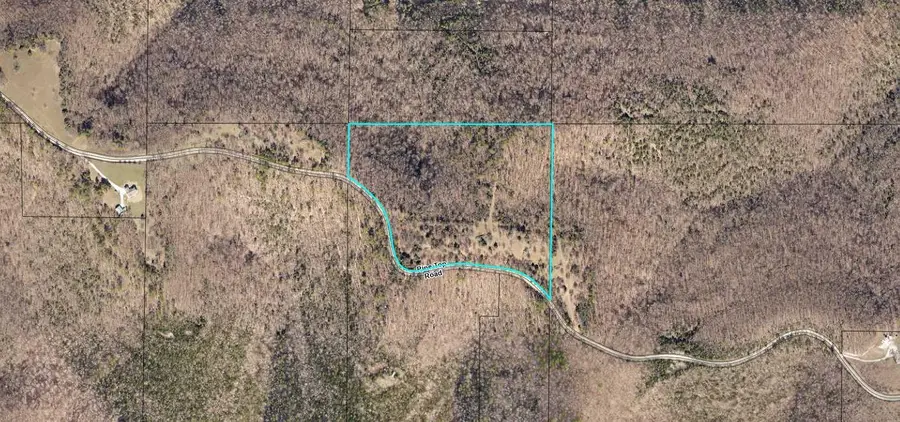 000 Pine Top Road, Hollister, MO 65672 - Image #3