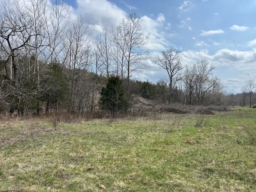 0 Enchanted Meadows Private Drive #Lot 10, Macomb, MO 65702 - #2