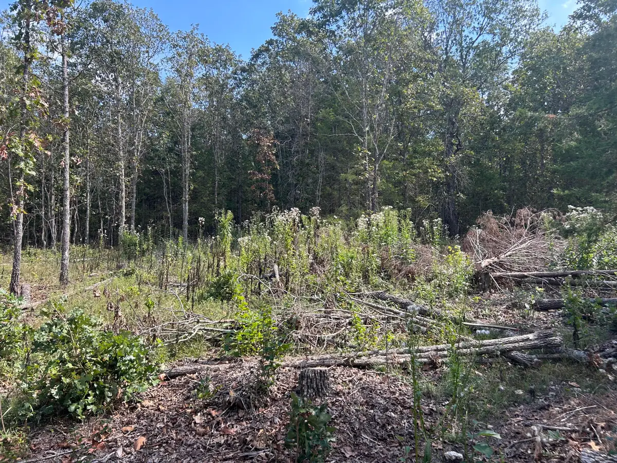 0 Enchanted Meadows Private Drive #Lot 24, Macomb, MO 65702 - Image #1