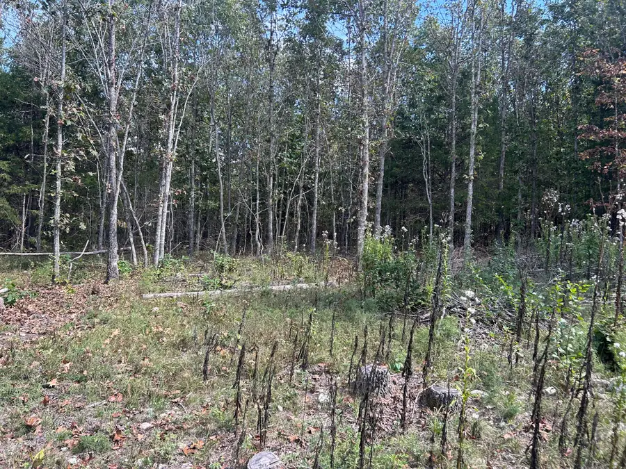 0 Enchanted Meadows Private Drive #Lot 24, Macomb, MO 65702 - Image #2