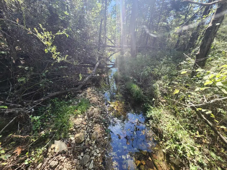 Tbd Bendavis Drive, Mountain Grove, MO 65711 - Image #3