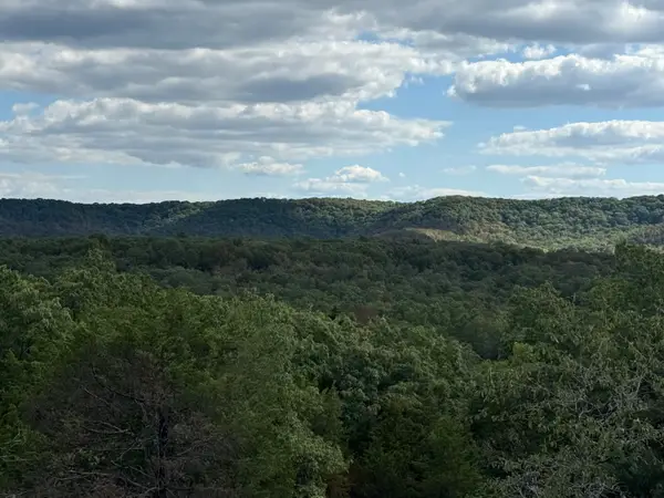 000 Mannon Road, Ava, MO 65608