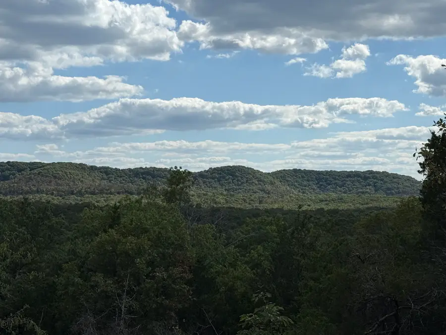 000 Mannon Road, Ava, MO 65608 - Image #3