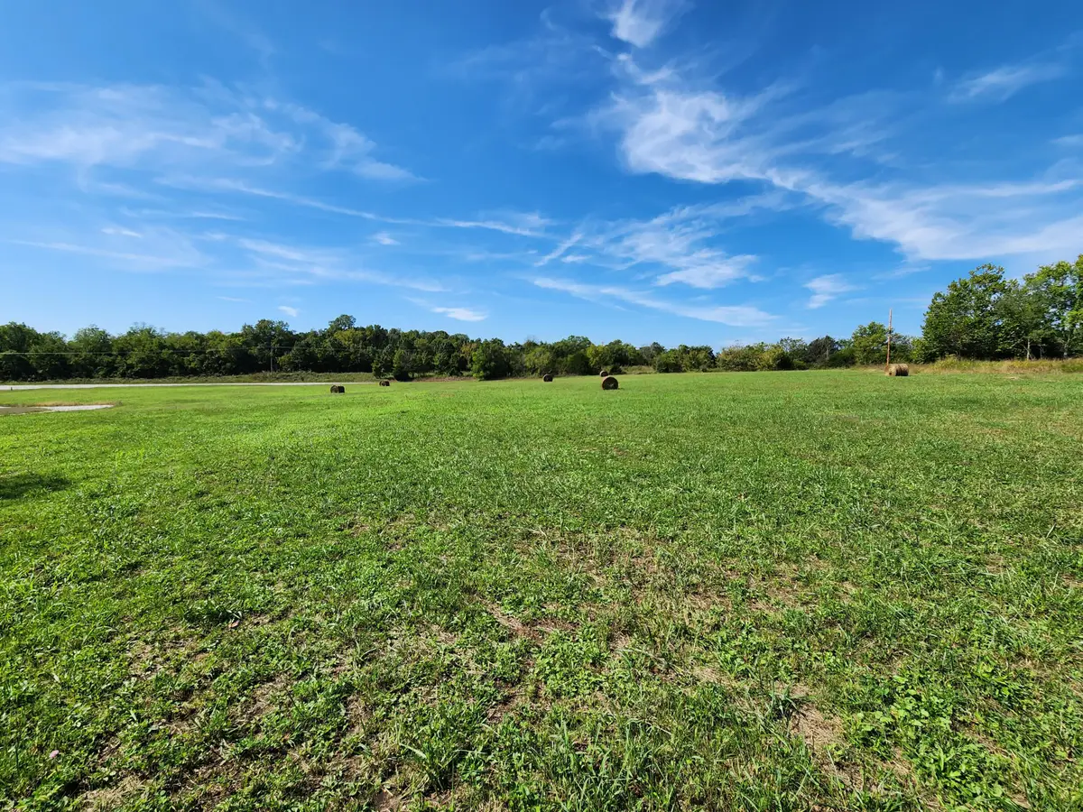 Lot 1 Private Road 1060, Seligman, MO 65745 - Image #1