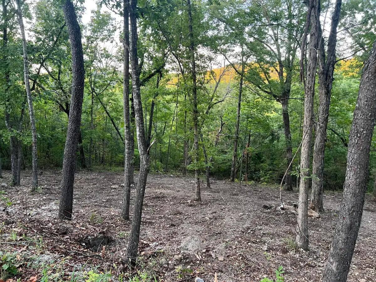 190 Deer Dr, Ridgedale, MO 65739 - Image #1