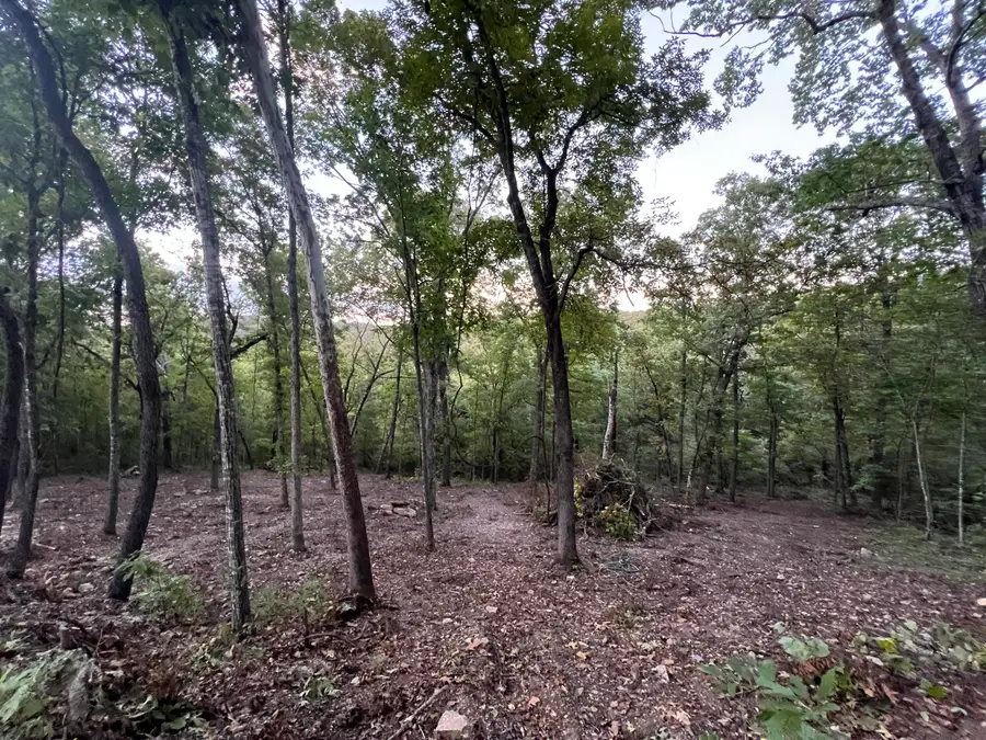 190 Deer Dr, Ridgedale, MO 65739 - Image #2