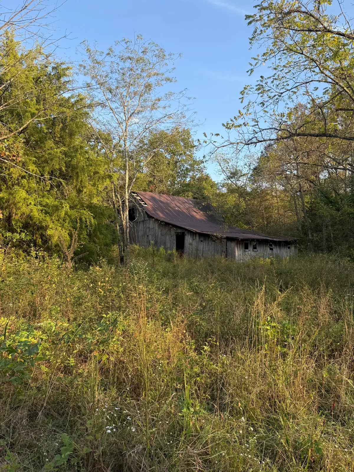 3930 Bado Road, Cabool, MO 65689 - Image #1