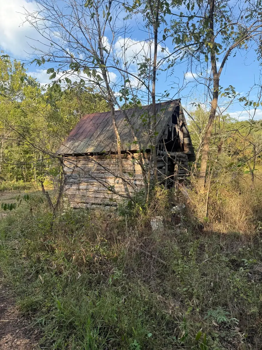 3930 Bado Road, Cabool, MO 65689 - Image #2