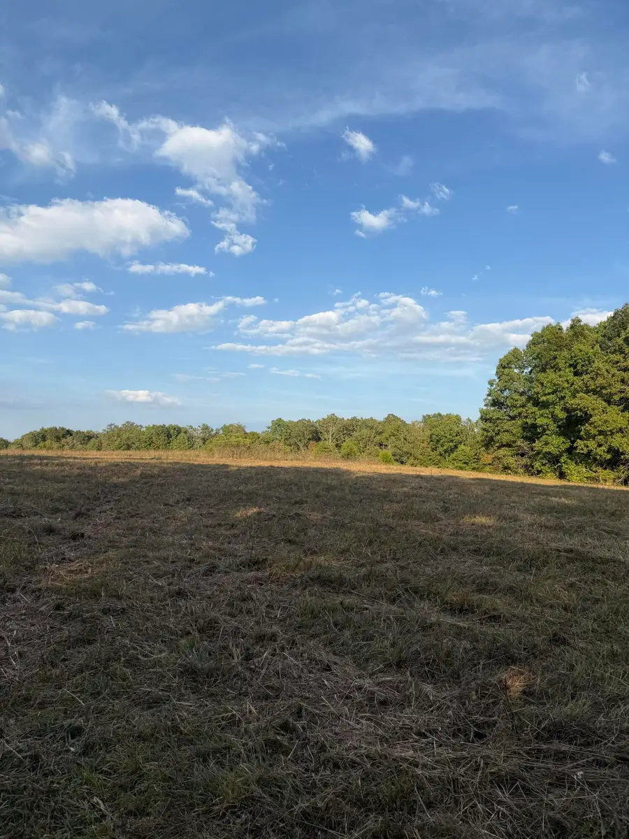 3930 Bado Road, Cabool, MO 65689 - Image #3