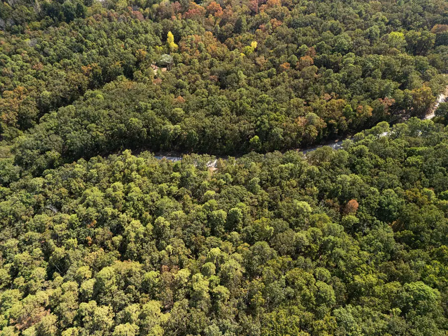 000 Dwelle Road, Norfork, AR 72658 - Image #3