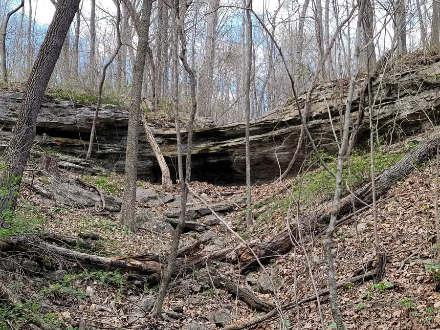 13247 Route E, Pineville, MO 64856 - Image #2