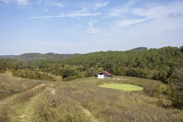 000 County Road 322, Eminence, MO 65466