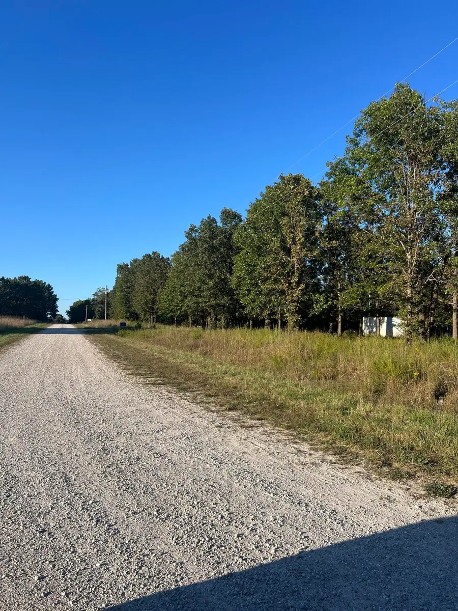 40 Buggy Drive, Fair Grove, MO 65648 - Image #2