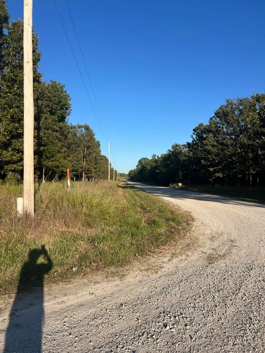 40 Buggy Drive, Fair Grove, MO 65648 - Image #3