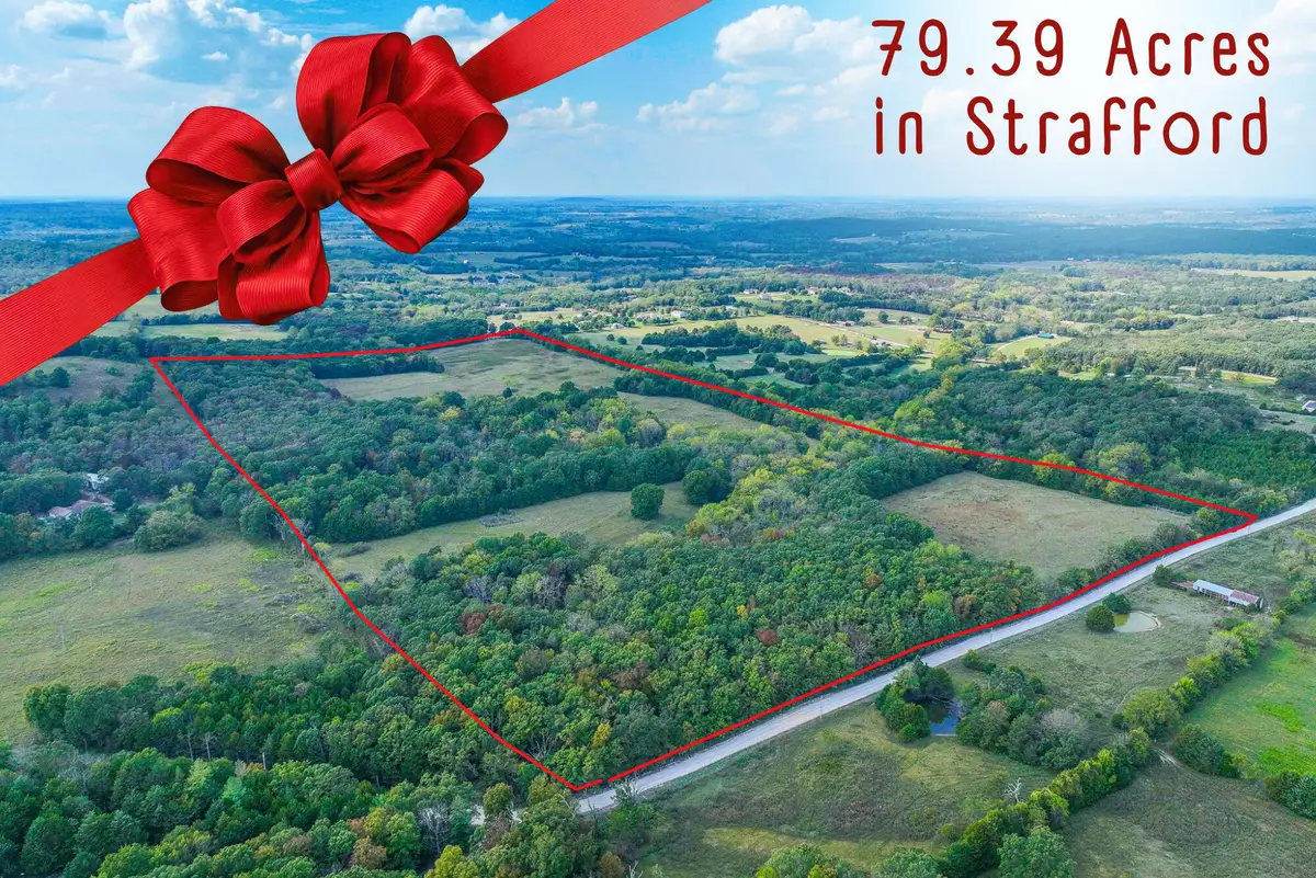 S21t30r19 White Clover Road, Strafford, MO 65757 - Image #1